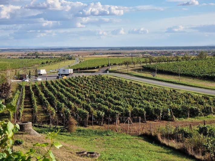 Recas Winery tasting experience